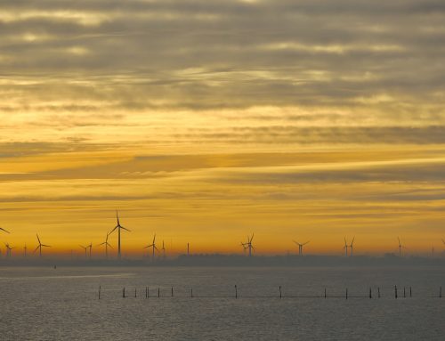 Drugi przetarg na morską farmę wiatrową na Litwie zakończył się niepowodzeniem