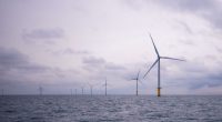 Parkwind arcadis ost 1