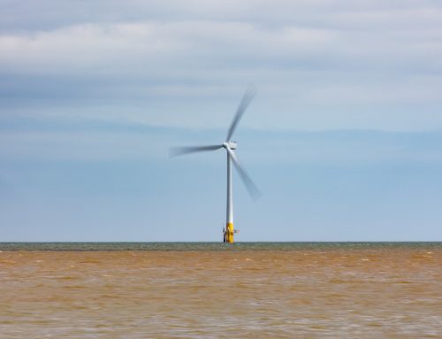 Offshore wind energy investors call for reforms in Sweden