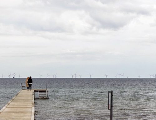 Danish Energy Agency and Hvidovre municipality launch public consultation on EIA of Aflandshage wind farm