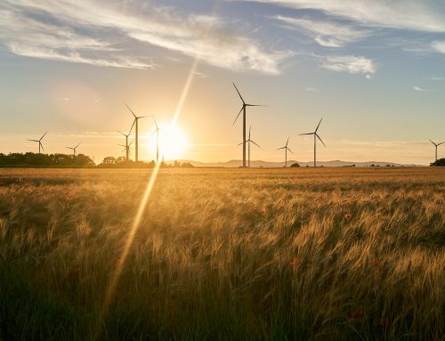 COP29: GWO i IRENA przedstawiają plany rozwoju siły roboczej