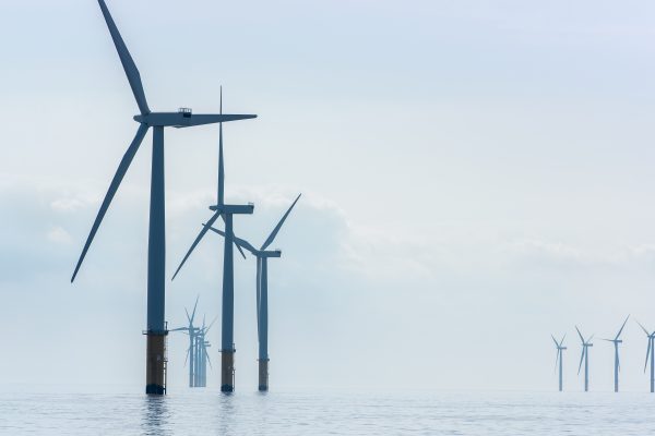 Auktion Für Neue Offshore Windparks Gescheitert Dieses Desaster Kostet Uns Milliarden - j2tx658