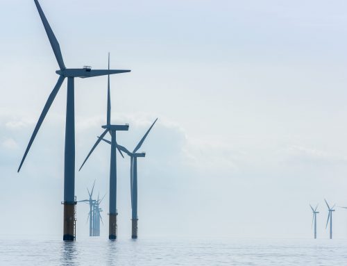 Główni gracze rywalizują w niemieckiej aukcji morskiej energii wiatrowej