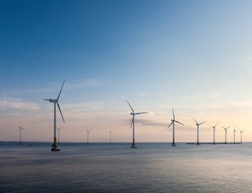 Allianz: Należy zarządzać presją ekonomiczną i innowacjami technologicznymi w morskiej energetyce wiatrowej