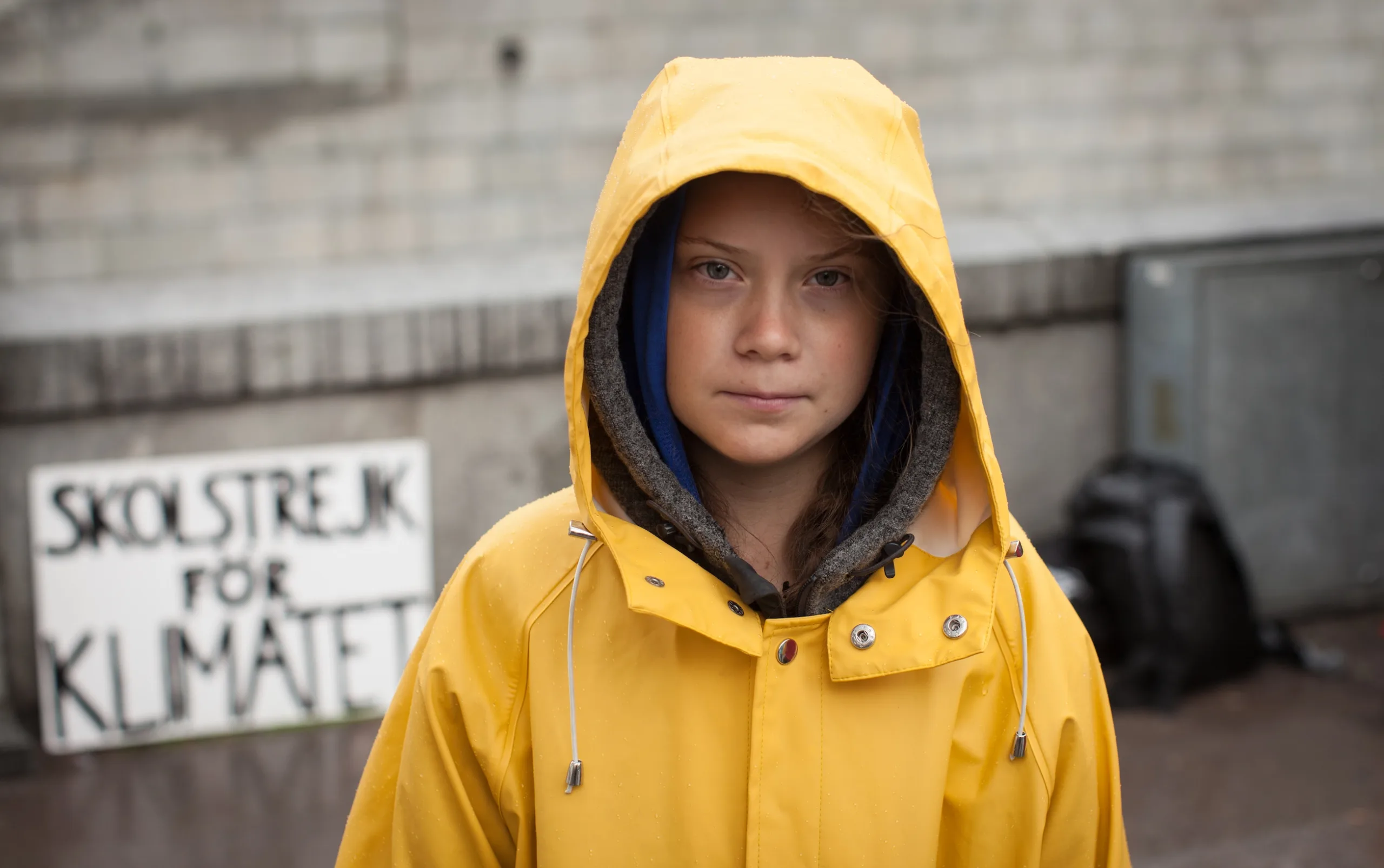 Greta Thunberg's School Strike Journey Concludes, Activism Persists ...