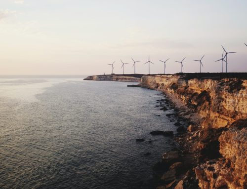 Od umiejętności do morskiej energetyki wiatrowej: jak Pomorze napędza zieloną transformację