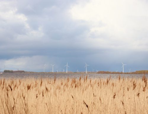 Oczekiwana dotacja w wysokości 8,2 centów na nowe lądowe turbiny wiatrowe