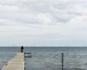Visualization of the Aflandshage Wind Farm.