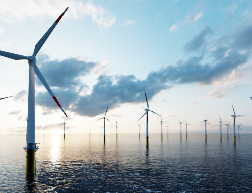 Analiza AEGIR INSIGHTS: Dania ogłasza największy jak dotąd przetarg na morskie elektrownie wiatrowe