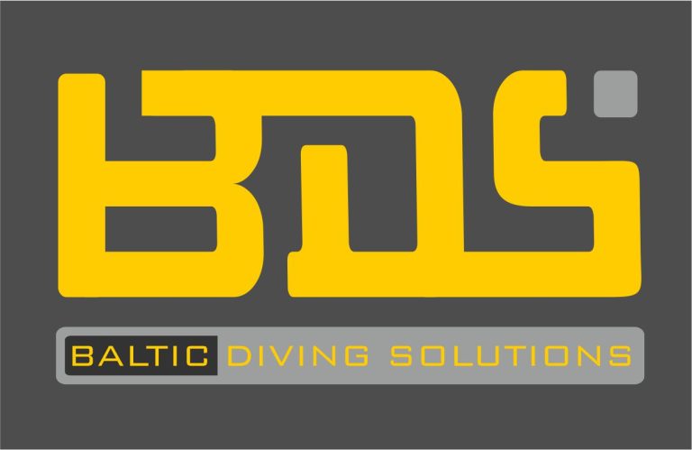 Logo BDS tojpg 768x499