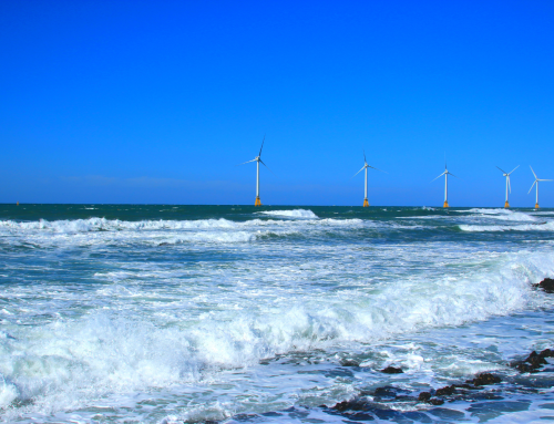 Ignitis Renewables rozpoczyna ocenę oddziaływania na środowisko dla morskiej farmy wiatrowej