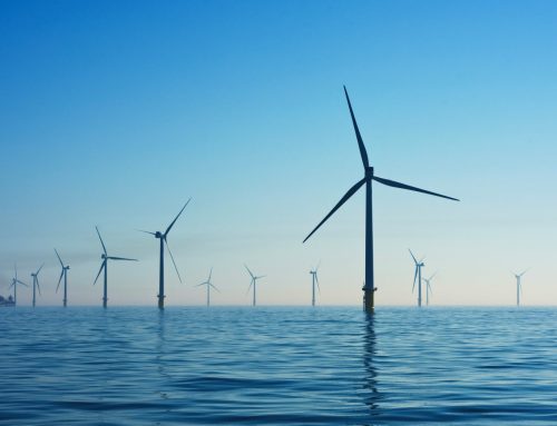 Skyborn Renewables rozpoczyna badania środowiskowe dla projektu morskiej energetyki wiatrowej w Finlandii