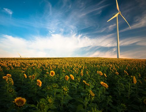 Weto gminne wstrzymuje szwedzkie projekty energetyki wiatrowej w 2025