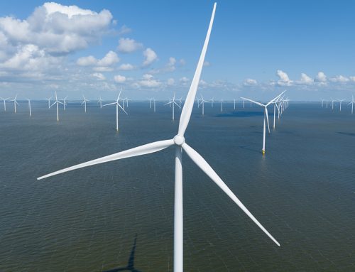 WindEurope: Negatywne oferty nadal obciążają rozwój morskiej energetyki wiatrowej