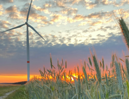 SEB udzieli 125 mln euro zielonej pożyczki na budowę farmy wiatrowej w północnej Litwie