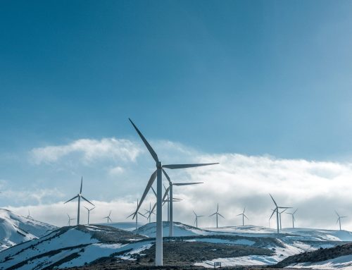 Znaczące wsparcie finansowe od Ignitis Renewables dla społeczności w pobliżu farm wiatrowych