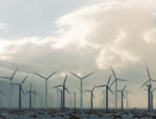 W 2025 r. grupa Nordex odpowiadała za około 32% nowych instalacji turbin wiatrowych na lądzie (MW) w Niemczech