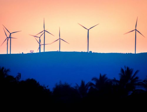 Gwałtowny wzrost energii wiatrowej w Niemczech: wzrost na lądzie i na morzu w 2024 r.