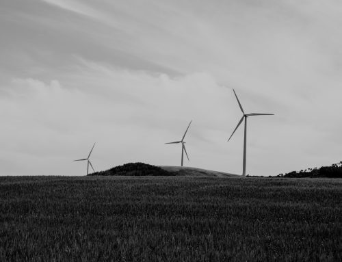 Green Power Sweden: Większość mieszkańców w pobliżu farm wiatrowych w Szwecji zadowolona ze swojej okolicy