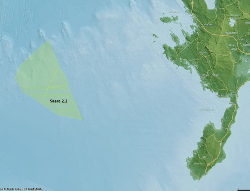 Norweska spółka Deep Wind Offshore AS wygrała kolejną aukcję na obszar w Estonii