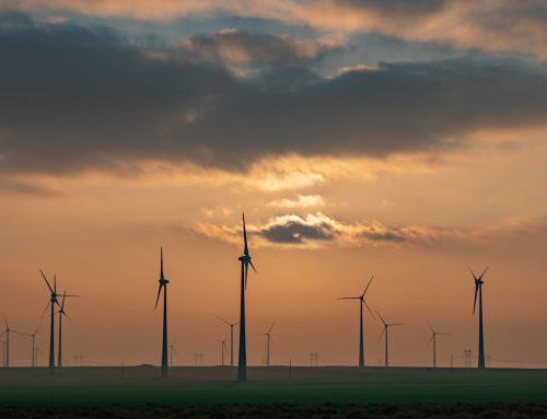 Ostatnia niemiecka aukcja lądowych farm wiatrowych ustanowiła rekord