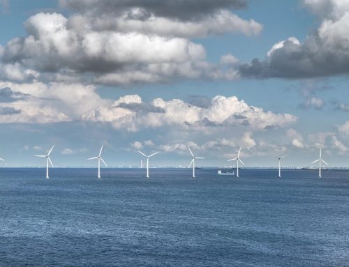 Arenso i Utilitas partnerami w projekcie Saare-Liivi Offshore Wind Park