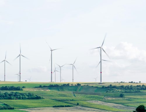 Estońsko-fińska współpraca w zakresie ochrony podwodnych połączeń energetycznych