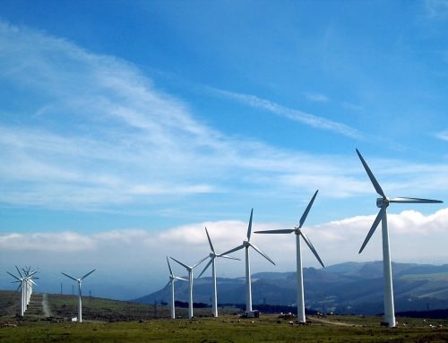 Heikki Peltomaa mianowany nowym przewodniczącym Renewables Finland