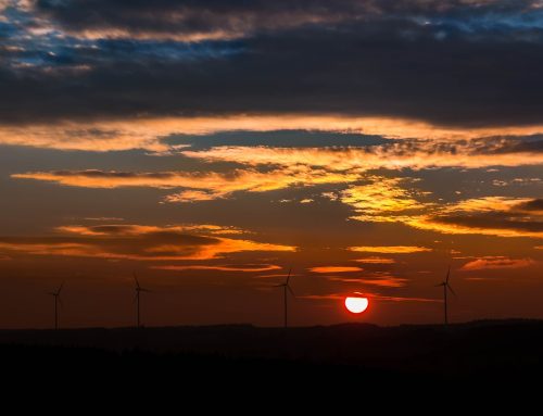 Nowy raport: Krajobraz branży produkcyjnej o zerowym zużyciu energii netto w państwach członkowskich UE