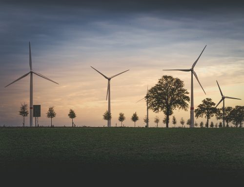 Renewables Finland: lądowa energetyka wiatrowa jest budowana bez dotacji rządowych