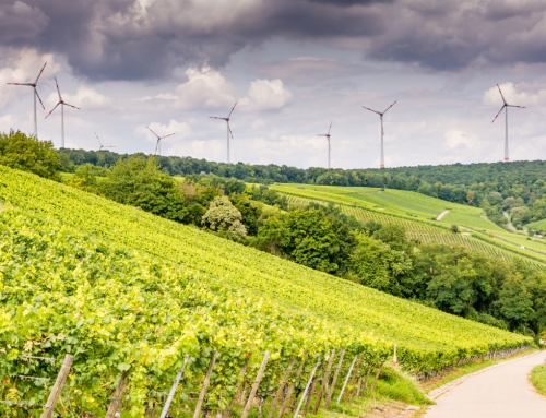 Energia wiatrowa stanowiła 20% całej energii elektrycznej zużytej w Europie. Jednak Europa nie buduje wystarczającej liczby nowych farm wiatrowych.