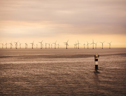 Litewski rząd proponuje tymczasowe wstrzymanie aukcji morskich farm wiatrowych