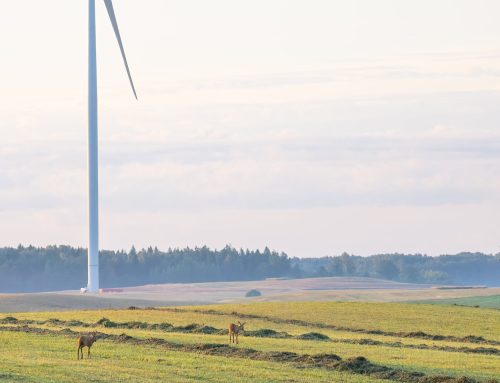 Ignitis will supply Litgrid electricity for 7 years for a fixed price