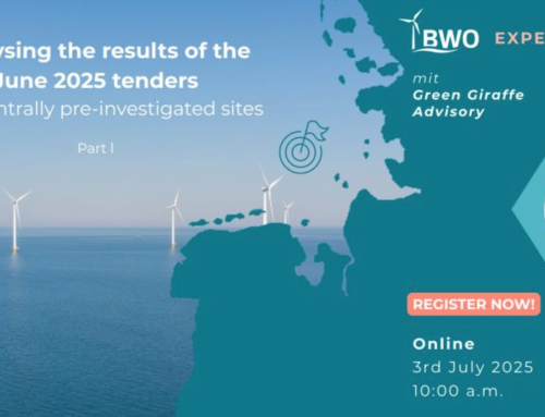 BWO-EXPERTISE: Analiza niemieckich aukcji morskich farm wiatrowych w 2025