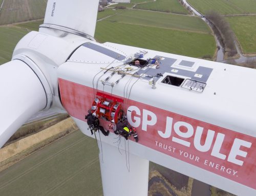 BWO: Ptaki wędrowne prawie całkowicie omijają turbiny wiatrowe