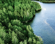 Source: Hydrogen Cluster Finland