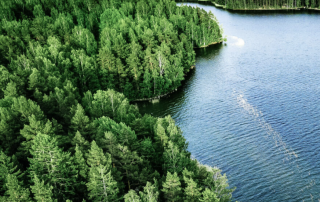 Source: Hydrogen Cluster Finland