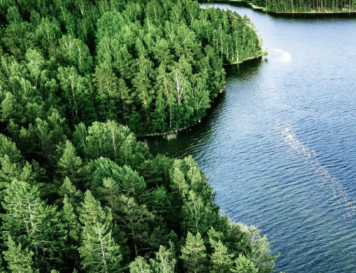 Opublikowano plan działania Fińskiego Klastra Wodoru: wspólnymi siłami budujemy najbardziej konkurencyjną gospodarkę wodorową w Europie