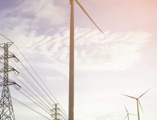 BEE w sprawie nowelizacji ustawy EEG: Odnawialne źródła energii stanowią podstawę zaopatrzenia w energię