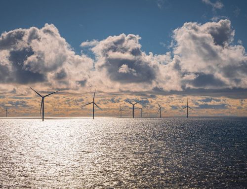 Haskoning zaprojektuje morskie farmy wiatrowe w Estonii i na Łotwie
