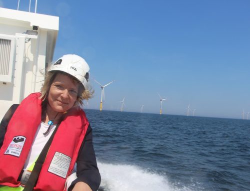 Europejska energia wiatrowa na morzu dla konkurencyjnego przemysłu stalowego UE i odwrotnie