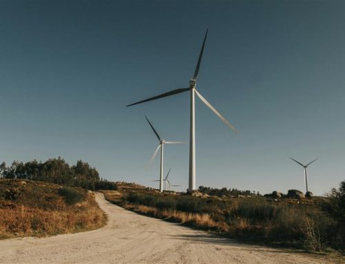 Qualitas Energy wygrywa 126 MW w najnowszym przetargu na lądowe elektrownie wiatrowe w Niemczech