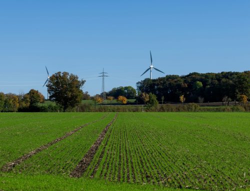 Ignitis Group planuje inwestycje do 3 mld euro w zieloną elastyczność i sieci elektroenergetyczne do 2029 roku