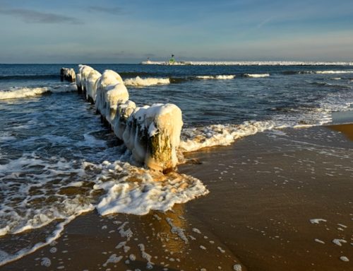 NoviOcean prezentuje hybrydową platformę offshore na forum Polsko-Szwedzkiej Izby Gospodarczej