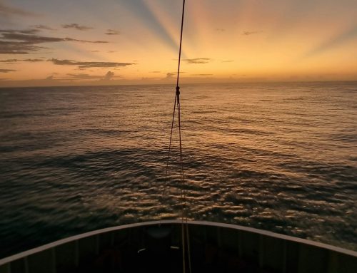 Wielka Brytania poszerza opcje kompensacji srodowiskowej dla deweloperow offshore wind