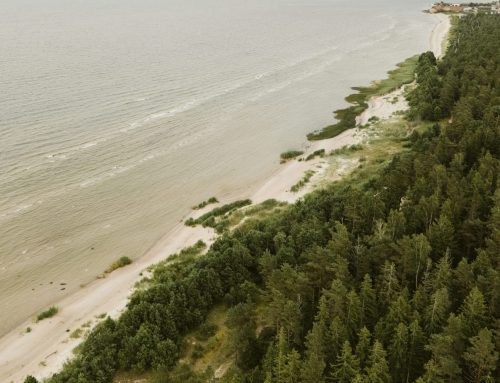 CBSS otwiera nabor na Letni Uniwersytet 2026 o mniejszosciach i odpornosci wokol Baltyku