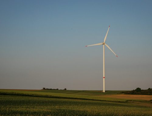 Global Wind Day 2026: WindEurope podkreśla korzyści dla społeczności i ostrzega przed sztywnymi przepisami UE