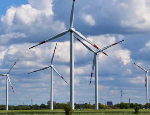 Wojna dezinformacyjna wokół polskiej energetyki wiatrowej: mity kontra badania