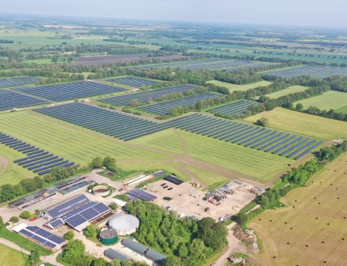 Tion Renewables przejmuje działający park agri-PV o mocy 69 MWp w Saksonii-Anhalt
