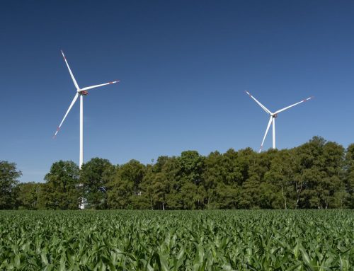 wpd zdobywa 156,9 MW w mocno nadsubskrybowanej niemieckiej aukcji wiatrowej